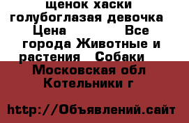 щенок хаски  голубоглазая девочка › Цена ­ 12 000 - Все города Животные и растения » Собаки   . Московская обл.,Котельники г.